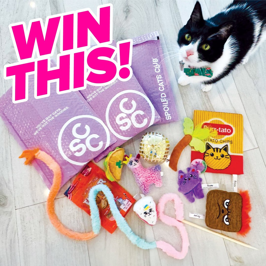 WIN a Three-Month Spoiled Cats Club Subscription liROo