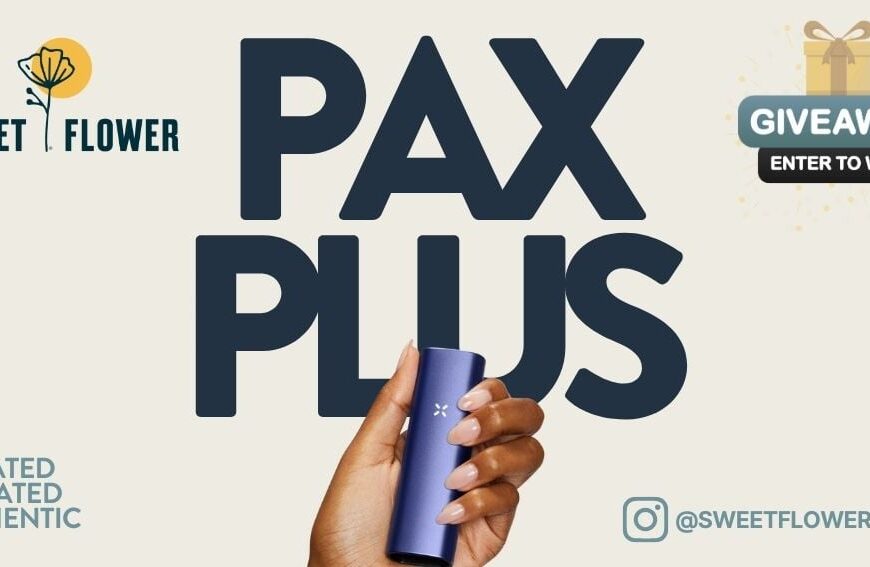 WIN a PAX Plus
