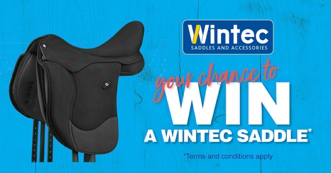 WIN a Wintec Saddle