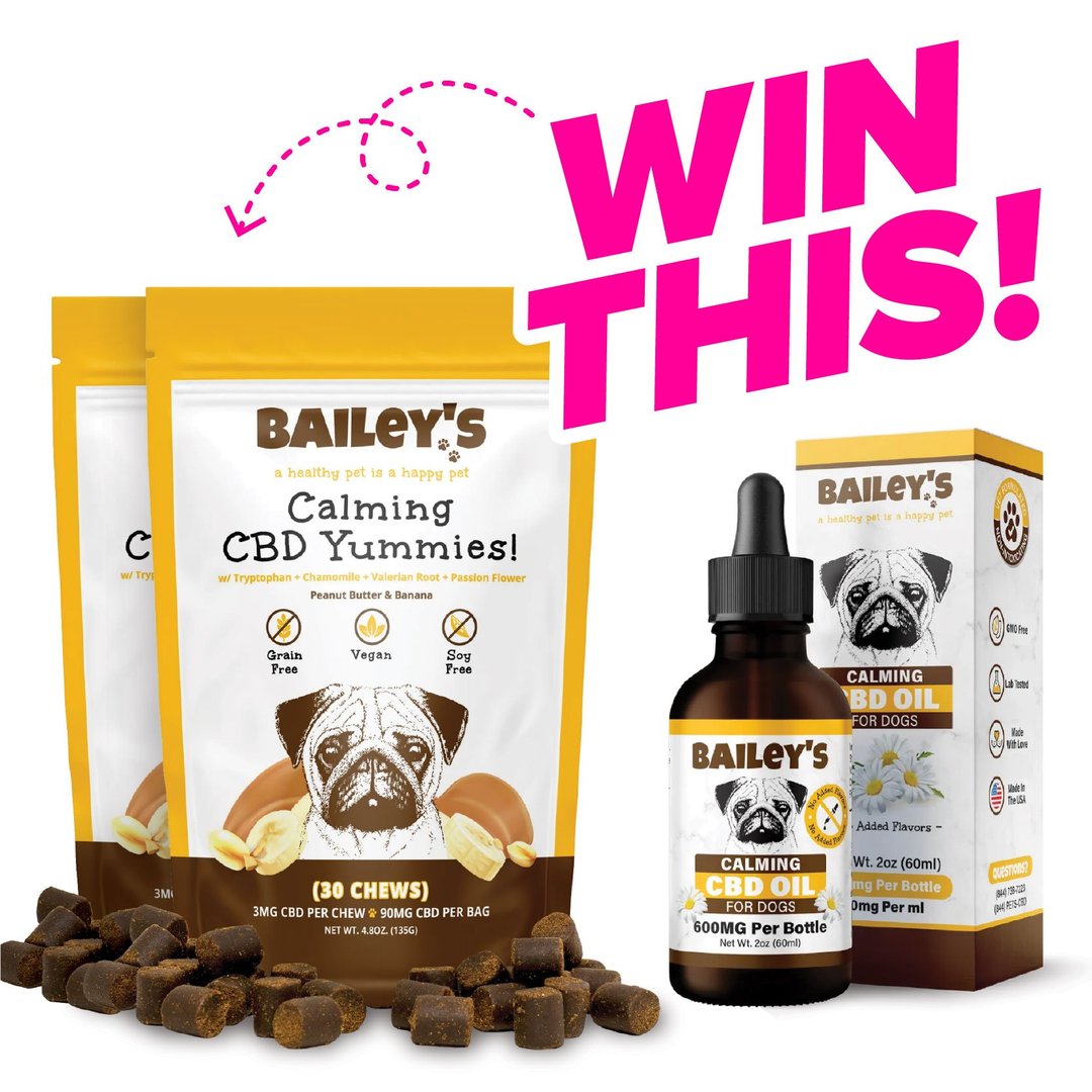 WIN a Bailey’s CBD Prize Pack